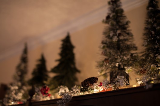 Christmas decor 2012 1