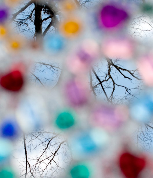 Trees in the cover of the Mirror Gem Notebook.