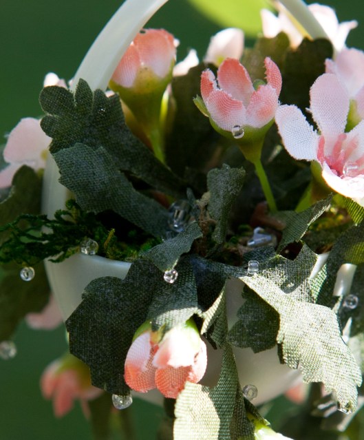 14 Miniature Peony 3