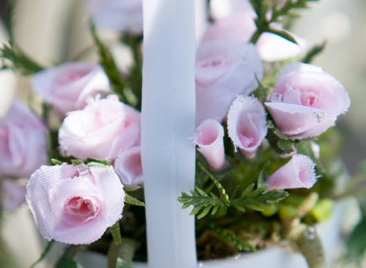 17 Miniature Roses 2