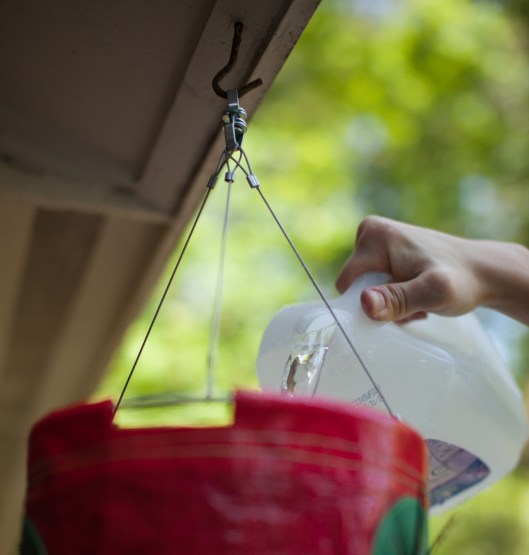 Strawberry Planter 11