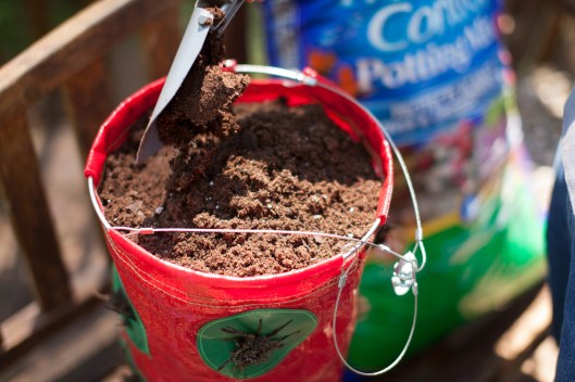 A last layer of soil is added to the planter.