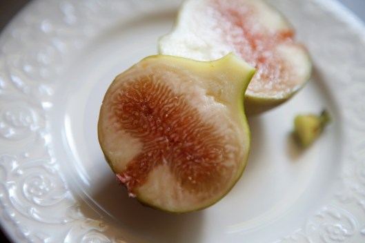 We weren't sure if the figs were ripe or overripe. This was one of the yellower figs. I thought so much white pith might mean the fig wasn't ripe. It still tasted delicious and juicy and sweet.
