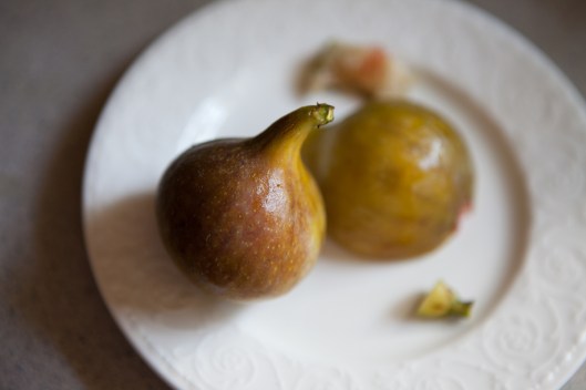 Here is a riper fig, with a darker brown skin next to the golden yellow skinned fig from the same tree for comparison.