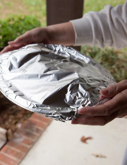 BFN 1 Butterflake Herb Rolls-12