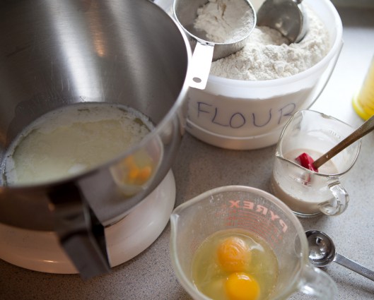 BFN 1 Butterflake Herb Rolls-2