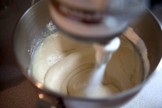 BFN 1 Butterflake Herb Rolls-3