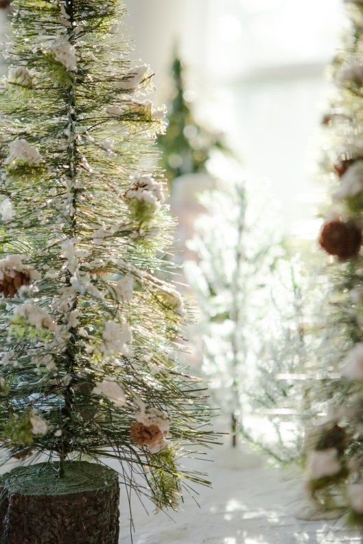 4 Bottle Brush tree forest