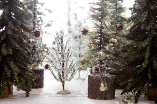 5 Bottle Brush tree forest
