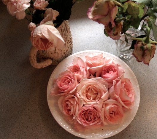 All the roses are from the same bouquet but they received different treatment. 