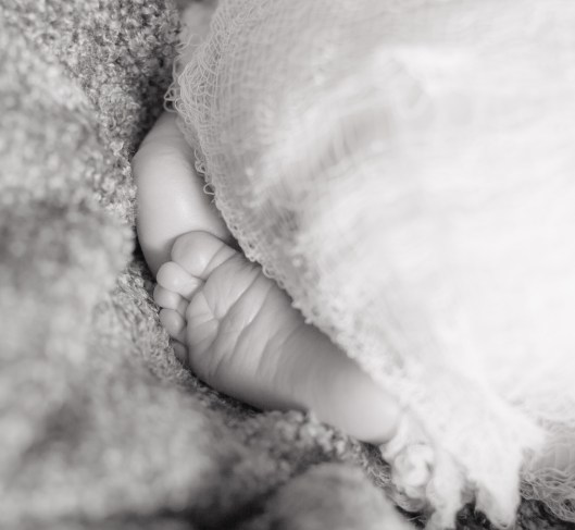 Alexander William-3573