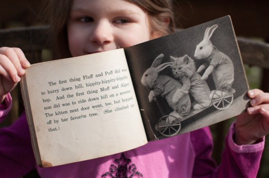 Four Little Bunnies-15