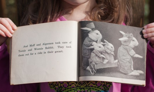 Four Little Bunnies-21