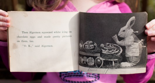 Four Little Bunnies-28