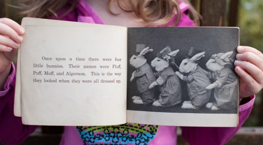 Four Little Bunnies-4