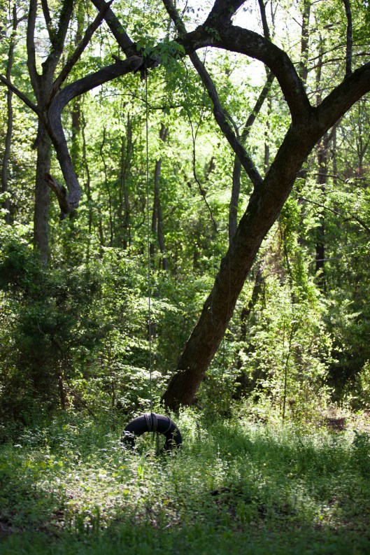 The day we have to burn the fig trees, I will hang a porch swing here and drink wine. 