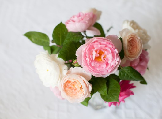 first rose bouquet of 2014