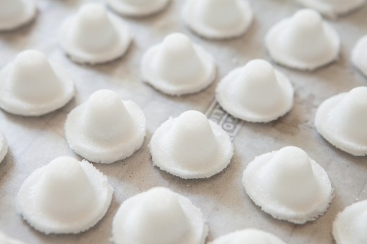 9 Sugar Bonnets
