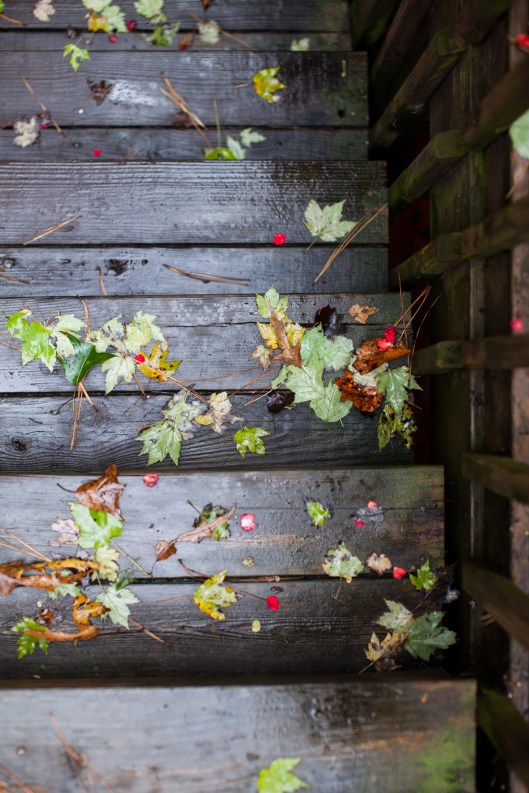 3 After rain 10 14 14