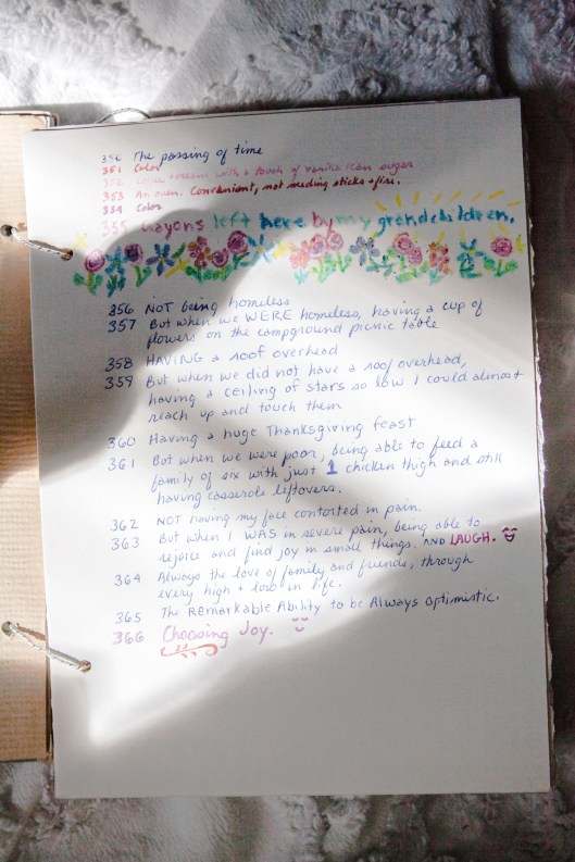 13 2014 Thanksgiving journal