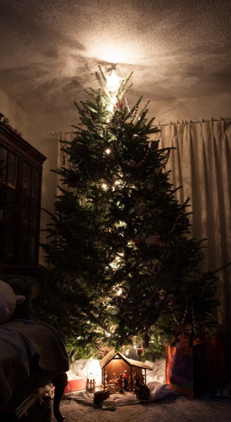 We never see our tree lit until Christmas Eve. Every light in the house is turned off and the house is very dark. The light sets are turned on one by one according to the scripture. Here is the very first set, lighting the star at the top of the tree over the manger scene down below. 