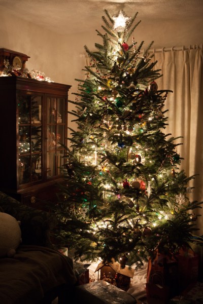 The tree completely lit about 40 minutes later, Christmas Eve. 