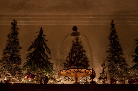 My mom made the miniature tree under the cloche. I have several small forests of trees; this one is on top of the tall dining room book shelf.