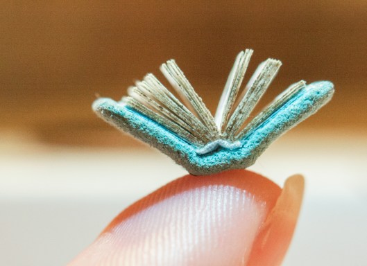 This tiny book, less than a quarter inch square, is titled Blue Flowers.