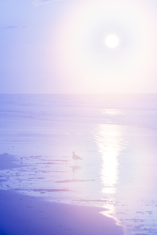 sunset-beach-nc-6139