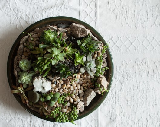 17-succulent-arrangement
