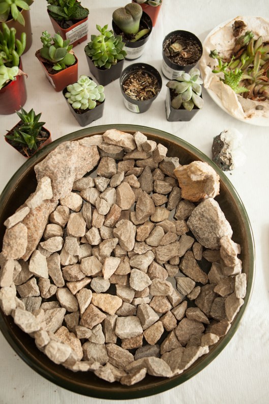 3-succulent-arrangement-stone-drainage