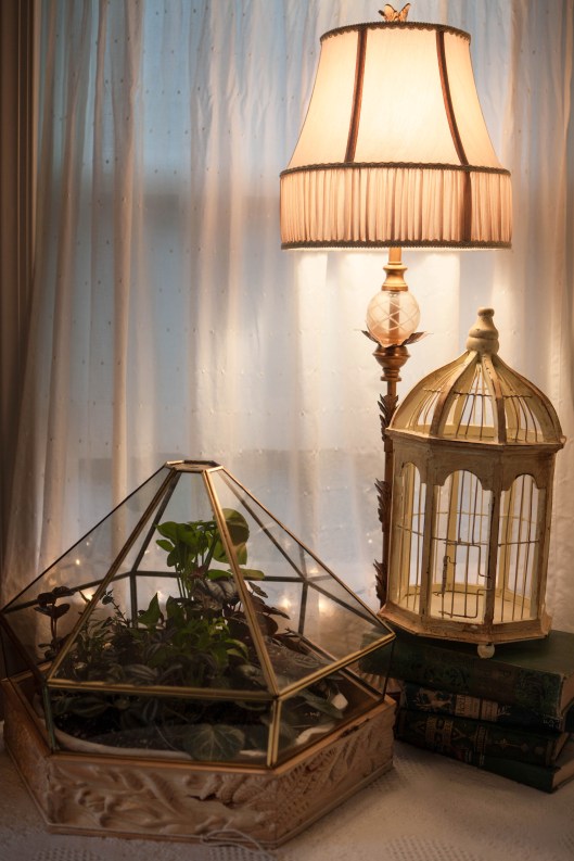 8 light fixture and wood carved terrarium.jpg