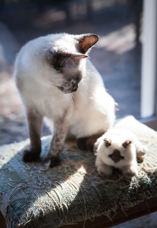 8-coco-and-her-stuffie